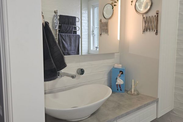 Bathroom Renovation 1